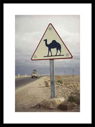 Beware of camels sign along an Algerian highway